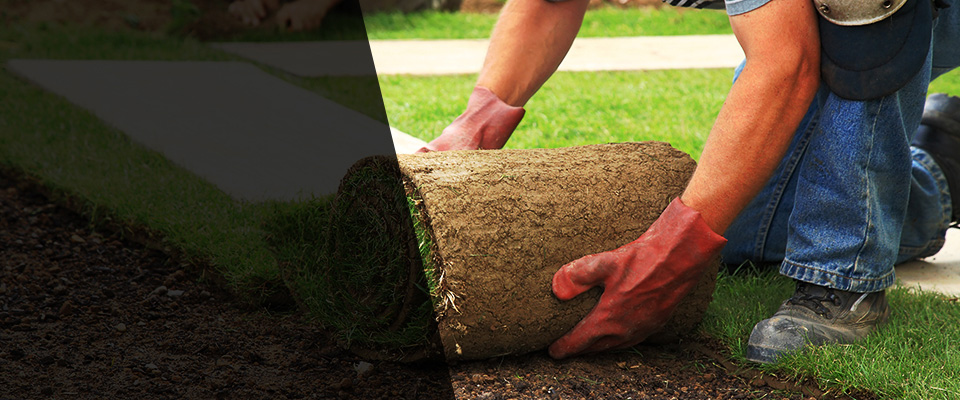 Byhalia Landscapers